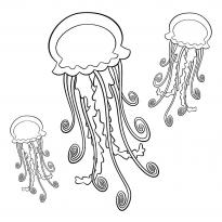 raskraska-meduza47