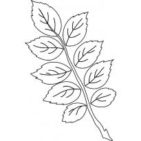 leaf-stencils18